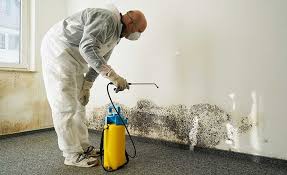 Best Mold Removal for HVAC Installations  in Shoreacres, TX